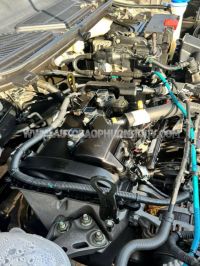 Xe Ford EcoSport Titanium 1.5L AT 2019