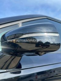 Xe Kia Carnival Premium 2.2D 2021