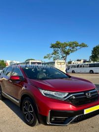 Xe Honda CRV G 2021