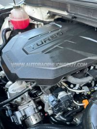 Xe Kia Carnival Premium 2.2D 8S 2024
