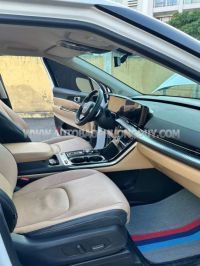 Xe Kia Carnival Premium 2.2D 8S 2024